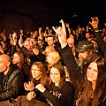 1349_2020_11.jpg