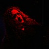 Anathema_11.JPG