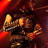 carpathianforest03.jpg