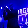 Tigerjunge_10.jpg