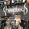 Sheephead_11.JPG