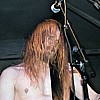 Noise Forest13.JPG