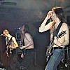 Noise Forest7.JPG