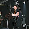 Noise Forest-4.JPG