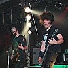 Noise Forest-8.JPG