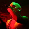 Psycroptic 20.JPG