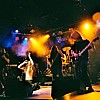 Beneath Flowers 5.JPG