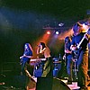 Beneath Flowers 7.JPG