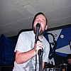 Golden_Gorilla_D_12.jpg