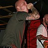 Gorerotted 15.JPG