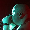 Red Harvest 6.JPG