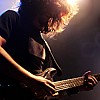 Kingcrow_06.JPG