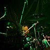Kingcrow_33.JPG