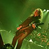 Kreator_19.JPG