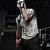 Primordial_13.JPG