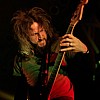 Mastodon_35.JPG