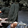074_Evergrey.JPG