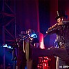 HonigdiebH05HB035.jpg