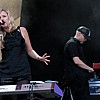 CrippledBlackPhoenix_020.JPG