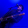 ChameleonsVox2018_01.jpg