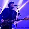 ChameleonsVox2018_09.jpg
