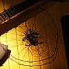 Impressionen 3.jpg