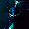 KingParrot08.jpg