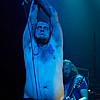 KingParrot19.jpg