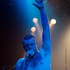 KingParrot24.jpg