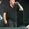 RottenSound03.JPG