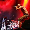 Psycroptic_01.JPG