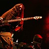 Psycroptic_10.JPG
