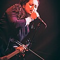 AForestOfStars_05.jpg