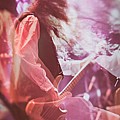 AForestOfStars_09.jpg