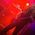 Primordial2021_12.jpg