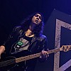 TheWildLies_10.jpg