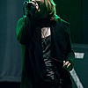 TheWildLies_27.jpg