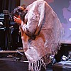 RPWL_089.JPG