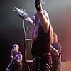 CarpathianForest_43.JPG