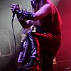 CarpathianForest_50.JPG