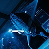 Primordial_27.JPG