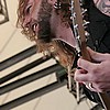 Evergrey 20.JPG