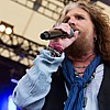 TheDeadDaisies_29.jpg