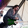 TheDeadDaisies_46.jpg