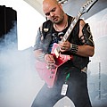 Vulture2019_05.jpg