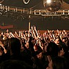 Fans 4.JPG