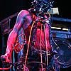 SkinnyPuppy_121.JPG