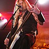 AdornedBrood_06.JPG