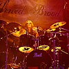 AdornedBrood_24.JPG