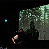 Stormfagel-04.jpg